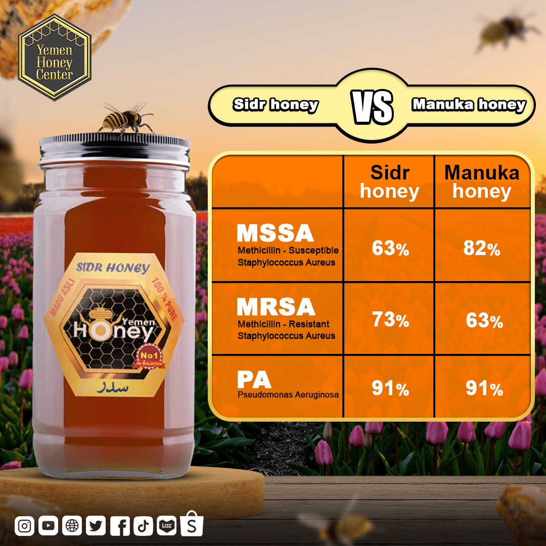 SIDR HADRAMAWT HONEY GREAD NATURAL 100% Yemen sidr honey Asal Madu