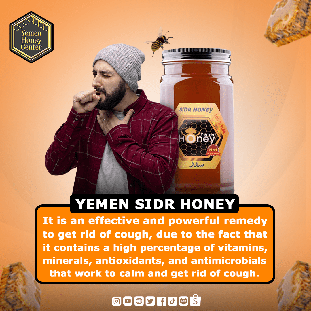 SIDR HADRAMAWT HONEY GREAD NATURAL 100% Yemen sidr honey Asal Madu